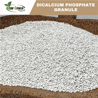 Brazilijos DCP