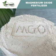 Kaustinė kalcinuota magnezija 90 %