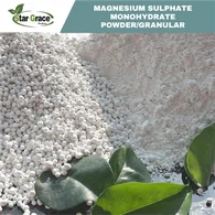 Magnio sulfato monohidratas kizeritas