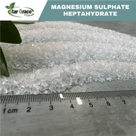 Magnio sulfato heptahidratas 96%