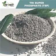 Trigubas superfosfatas TSP