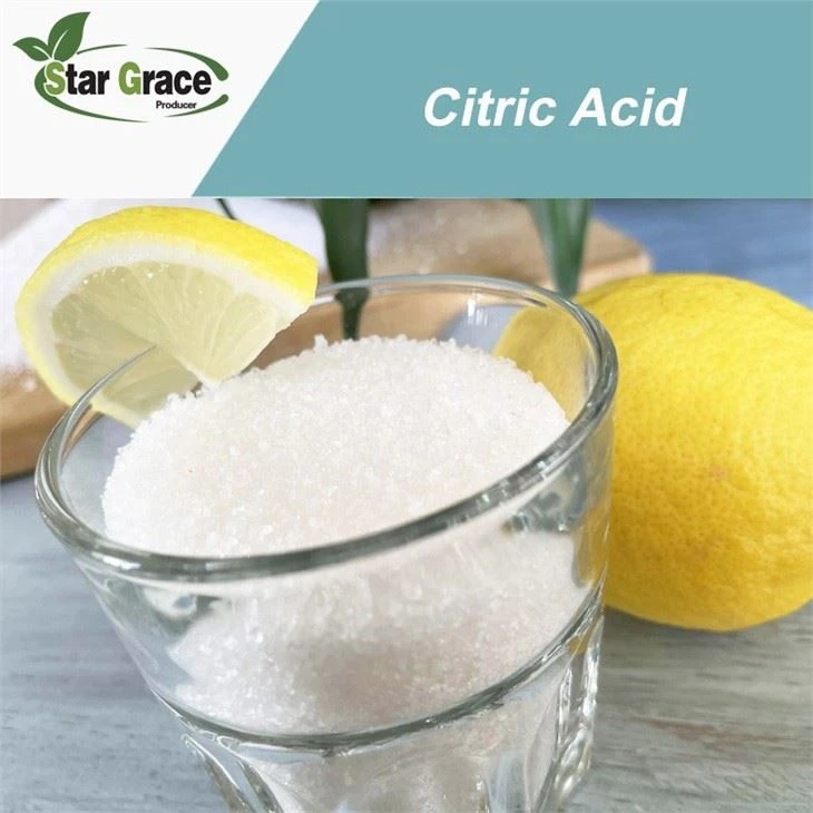 Citric Acid Monohydrate Price