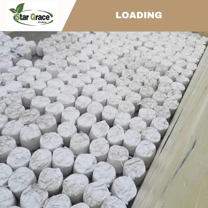 Animal Nutrition L-Lysine Sulphate