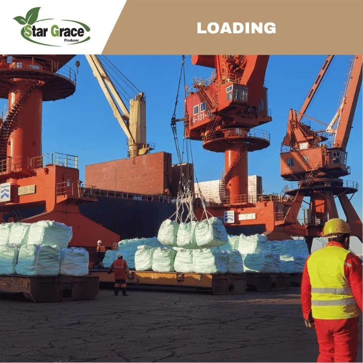 Animal Nutrition L-Lysine Sulphate