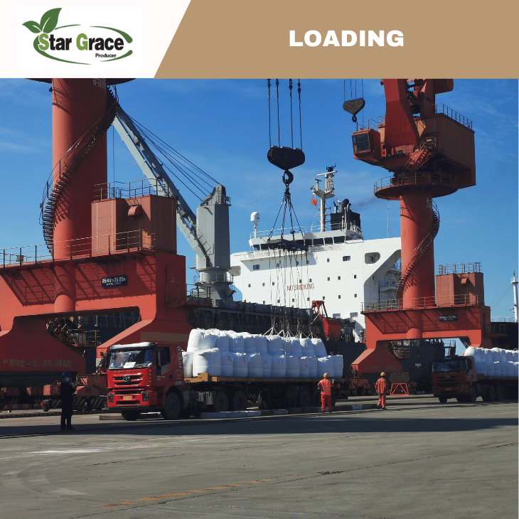 Lysine HCl Feed Grade Poultry And Livestock Food