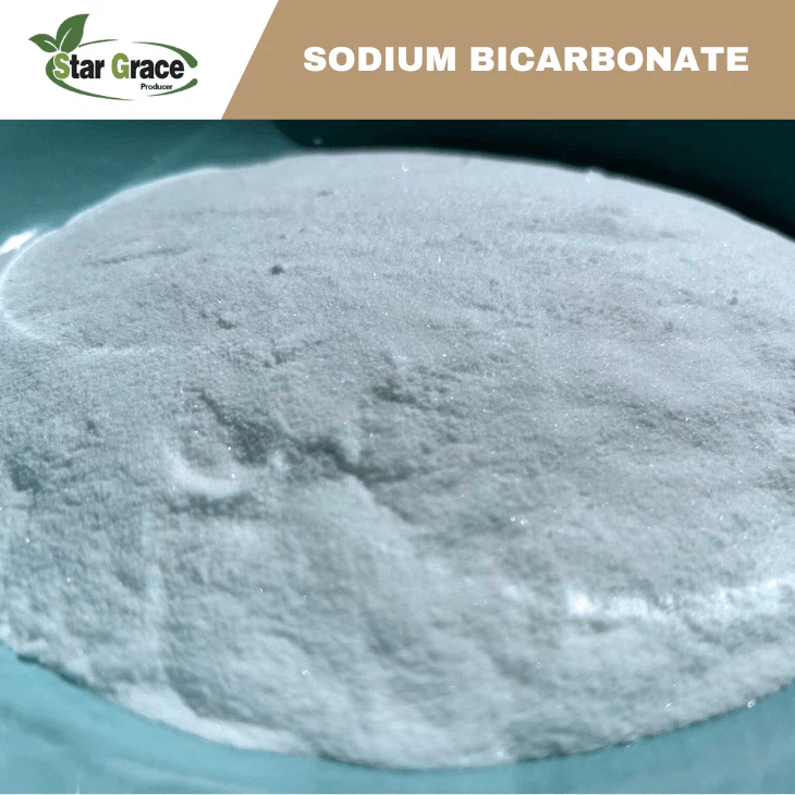 Sodium Bicarbonate And Acetic Acid